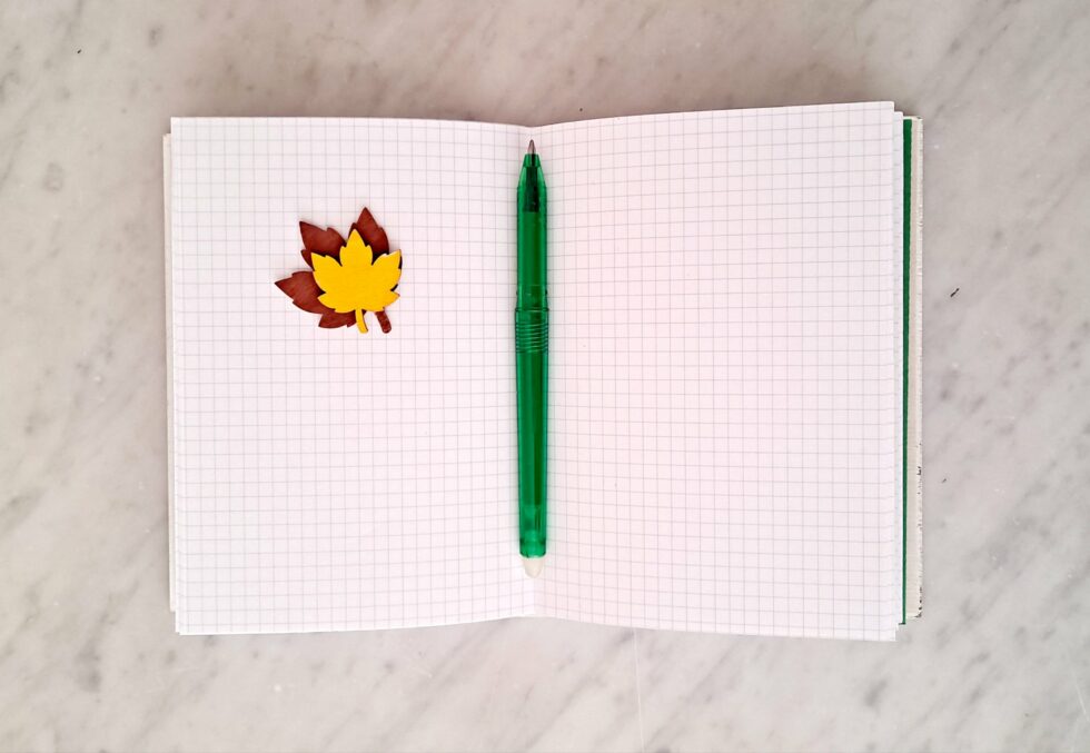 Carnet Pétunia avec pages à petits carreaux et stylo vert